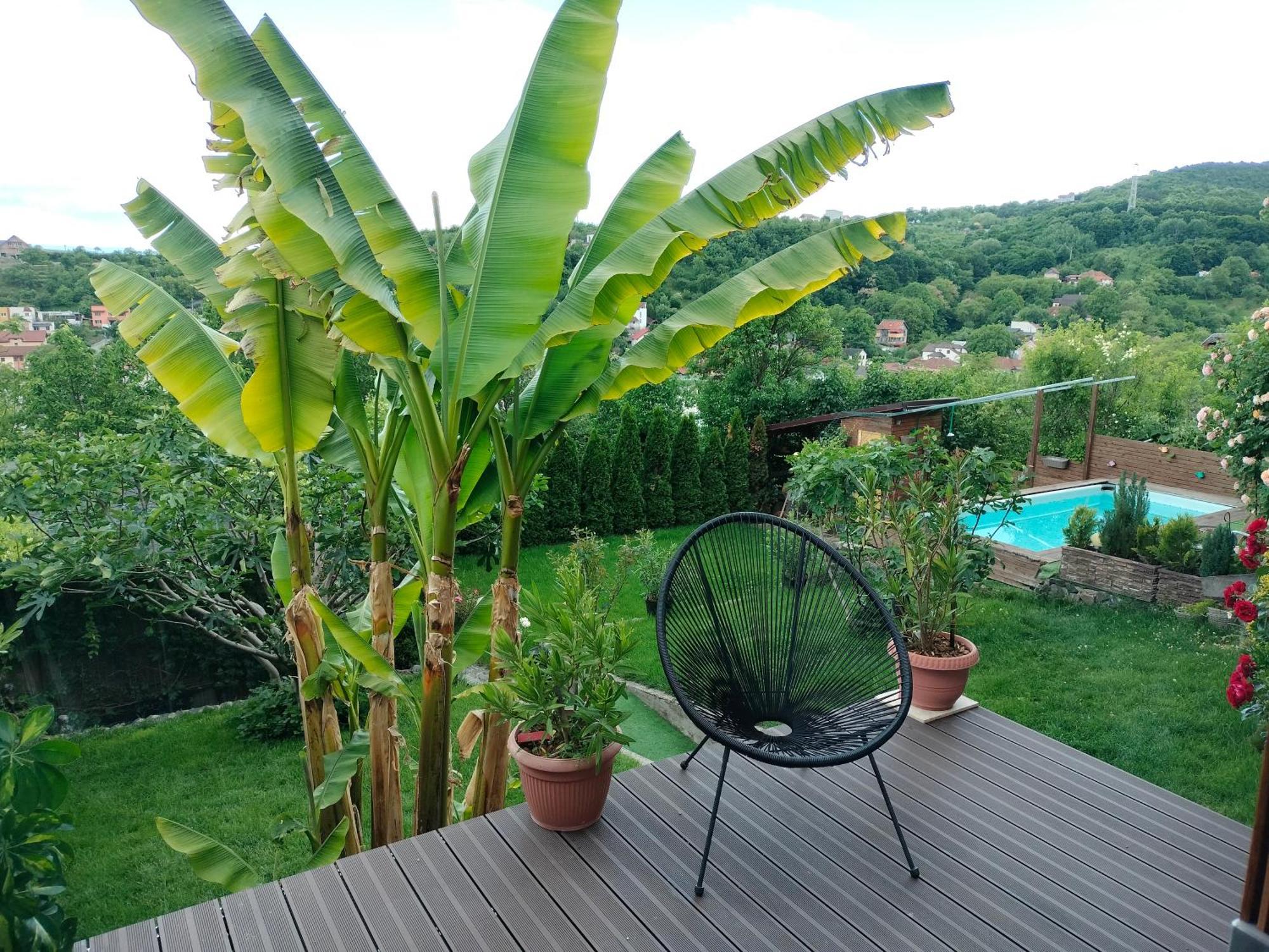 Homestay Belvedere Deva